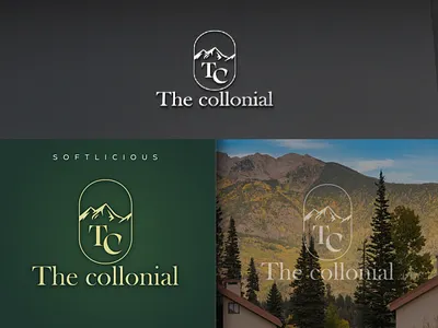 Company Logo Design brand identity branding company design company logo corporate design corporate logo design graphic design logo logo design tc logo
