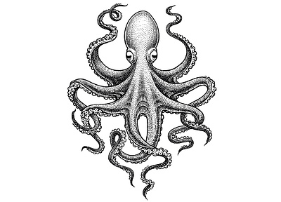 Kraken black and white engraving etching illustration logo retro scratchboard vintage