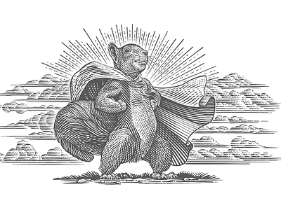 Superhero Squirrel animal cape engraving line art roger xavier scratchboard squirrel superhero woodcut