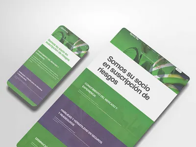 Sprint Re / Web site branding design graphicdesign graphicdesigner logo vector