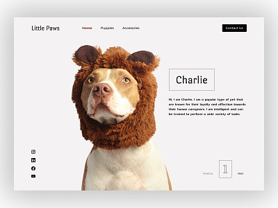 Hero Section: Little Paws design hero section landing page online store pets selling pets ui user experience ux website