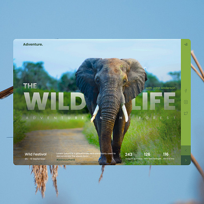 Adventure - The Wild Life adventure design figma figmawebdesign graphic design nature ui ux web webdesign wild wildlife