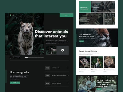 OAC - landing page for the zoo adventure animal clean clean website cleandesign design earth landing page minimal nature pets ui uidesign uiux ux web webdesign website wildlife zoo