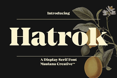 Hatrok Display Luxury Serif Font 3d animation branding design font fonts graphic design hatrok display luxury serif font illustration logo motion graphics nostalgic serif font ui