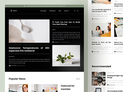 Megizine - Article Landing Page article design landing page ui ui design uiux ux website