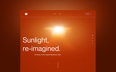 Vitae branding design ui webflow experts website design