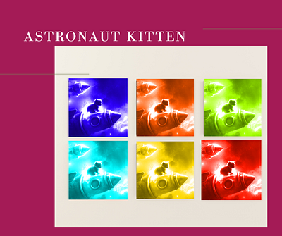 Astronaut Kitten graphic design