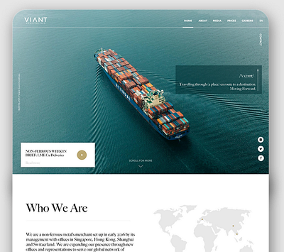 VIANT commodities Website design
