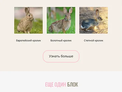 Information block branding design graphic design illustration logo ui