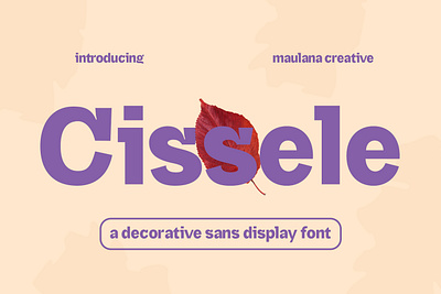 Cissele Display Font 3d animation branding design font fonts graphic design illustration logo modern motion graphics nostalgic ui