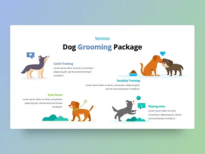 Dog Grooming Package 5 steps infographic business competitor analysis creative design dog graphic design grooming healthcare illustration infographic powerpoint powerpoint template presentation