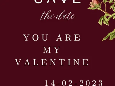 Valentine branding gift cards graphic design ui