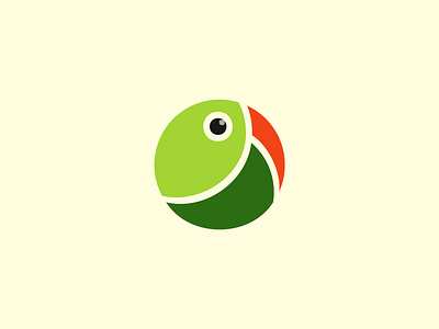 Parrot branding circle cockatoo colorful flat logo golden ratio graphic design illustration jungle logo logo inspiration logomark macaw minimal monogram parrot icon parrot logo toucan tropical vector