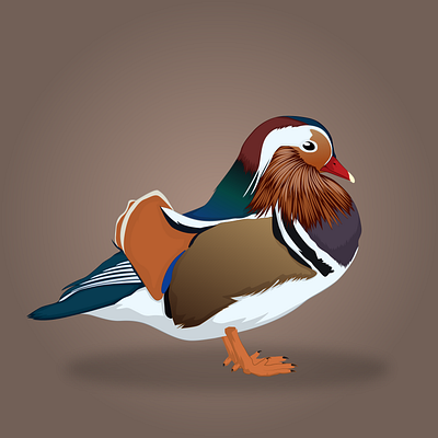 Vector Portrait Of Mandarin Duck 3d 3d vector ai animal vector animation bird cartoon art cartoon your self in vector design duck vector face illustration face into vector graphic design illustration logo portrait realistic vector ui vector