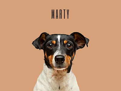 Custom Created Cartoon Effect Pet Portrait: Marty 3d app branding design graphic design illustration logo motion graphics typography ui ux vector