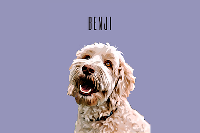 Custom Created Cartoon Effect Pet Portrait: Benji app branding design graphic design illustration logo typography ui ux vector