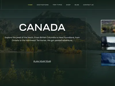 Nord Theme design themes ui ux website wordpress