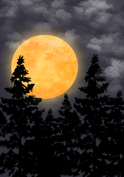 Moon over forest design illustration procreate