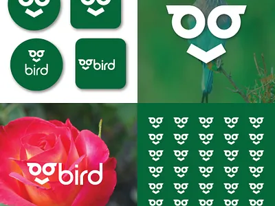 B Bird