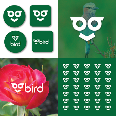 B Bird