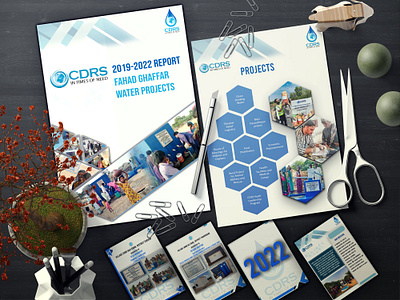 CDRS Report Design branding de design graphic design illustration photography vector