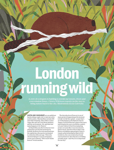 Time Out London illustrations by Kezia Gabriella animals artist colour creative design illustration jsr london nature time out