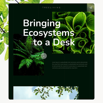 Treeliving - Bringing Ecosystems to a desk design figma graphic design ui ux webdesign