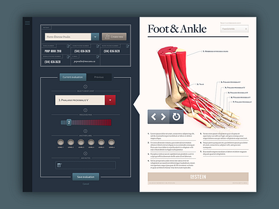 Dr Stein — iPad App app art direction branding care design foot healthcare interaction design ipad typogaphy ui ux
