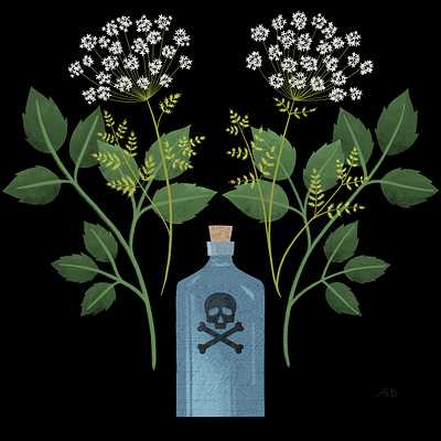 poisonous plants botanical botanical illustration illustration plants