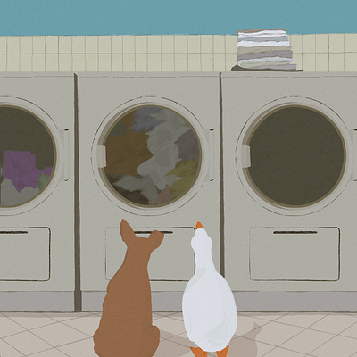 laundromat adventures illustration pictures