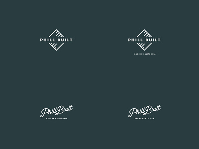 Logo Design Concepts flat logo vector