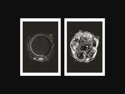 Data Points XII graph