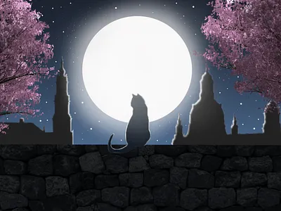 The Cat artwork cat graphic design moon nature night view photoshop rim light