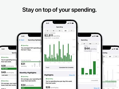 Spending Analysis — Inspired by Apple analysis apple concept finance highlights insights ios mobile money personal prototype spending tracking ui ux