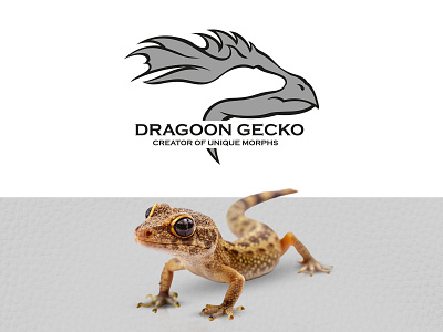 Logo Design for Dragon Gecko 2d 2d art animal brand branding design digital digital art graphic design identity branding illustration logo minimal modern