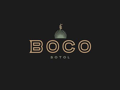 Sotol Brand Logo Design agave brand identity distillery gold snake sotol tequila