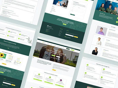 Acacia Plan Management design graphic design ui ux website