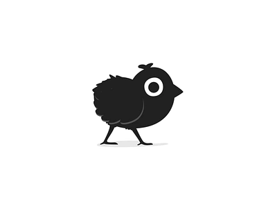 Chick walk 01 black and white chick chicken focus illustration raising chickens walk