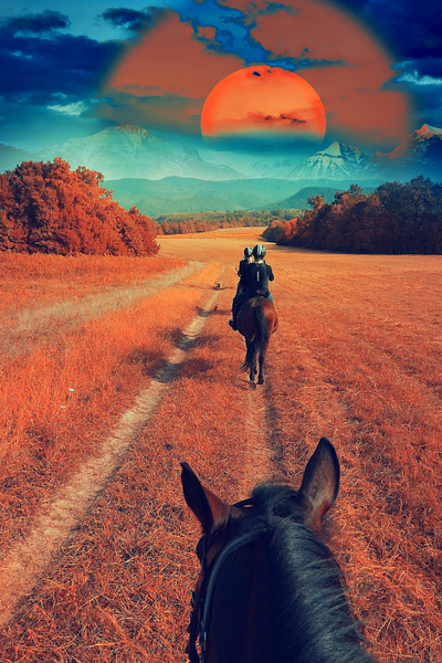 Autumn Horseback design graphic design illustration