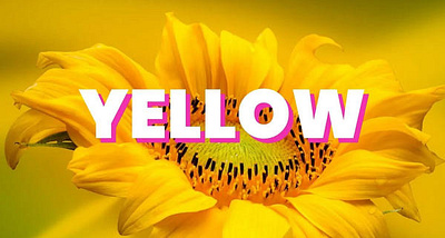 Symbolism Of Colors: Yellow color colors colortheory design educational history thumbnail yellow youtube
