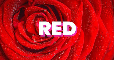 Color Symbolism: Red color color red color theory colours educational history learning red red color symbol symbolism