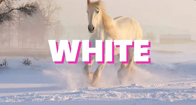 Color White Symbolism color color symbolism color theory color white colour colours meaning symbol symbolism white white color