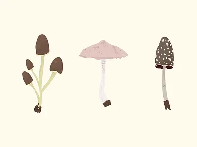 Mushrooms adobe illustrator animation art beautiful champignon forest graphic design illustration inspiration mushroom nature realisitic vector