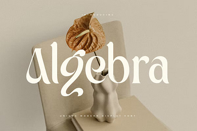 Algebra - Unique Modern Display Font cover cover lettering cover lettering font font freebies fonts free freebies font freebies font freebies fonts freelance freelance graphic design graphic design lettering lettering cover type typography