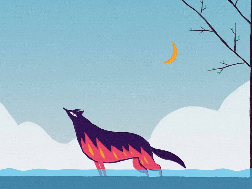 Browse thousands of Wolf Animation images for design inspiration | Dribbble