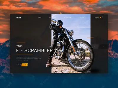 Web Banner Design branding graphic design illustration photoshop ui webdesign