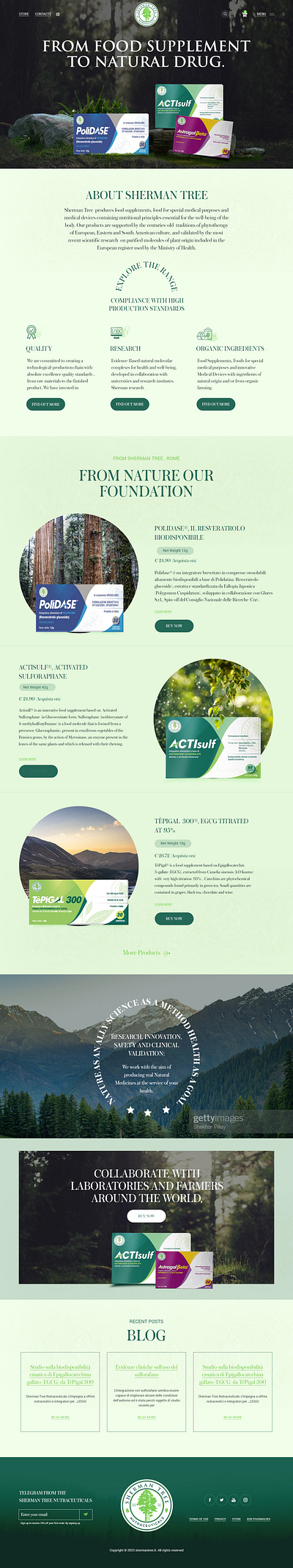 Sherman Tree Nutraceuticals branding graphic design ui website design