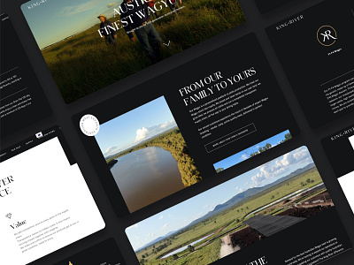 King River design graphic design ui ux website