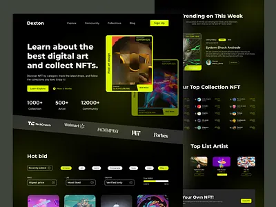 nft website landing page crypto interface landing page marketplace maxfluid nft ui ux webdesign webiste