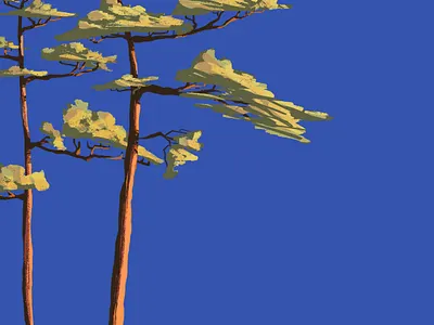 Pine trees colorful digital drawing illustration landscape minimalist poster travel trees